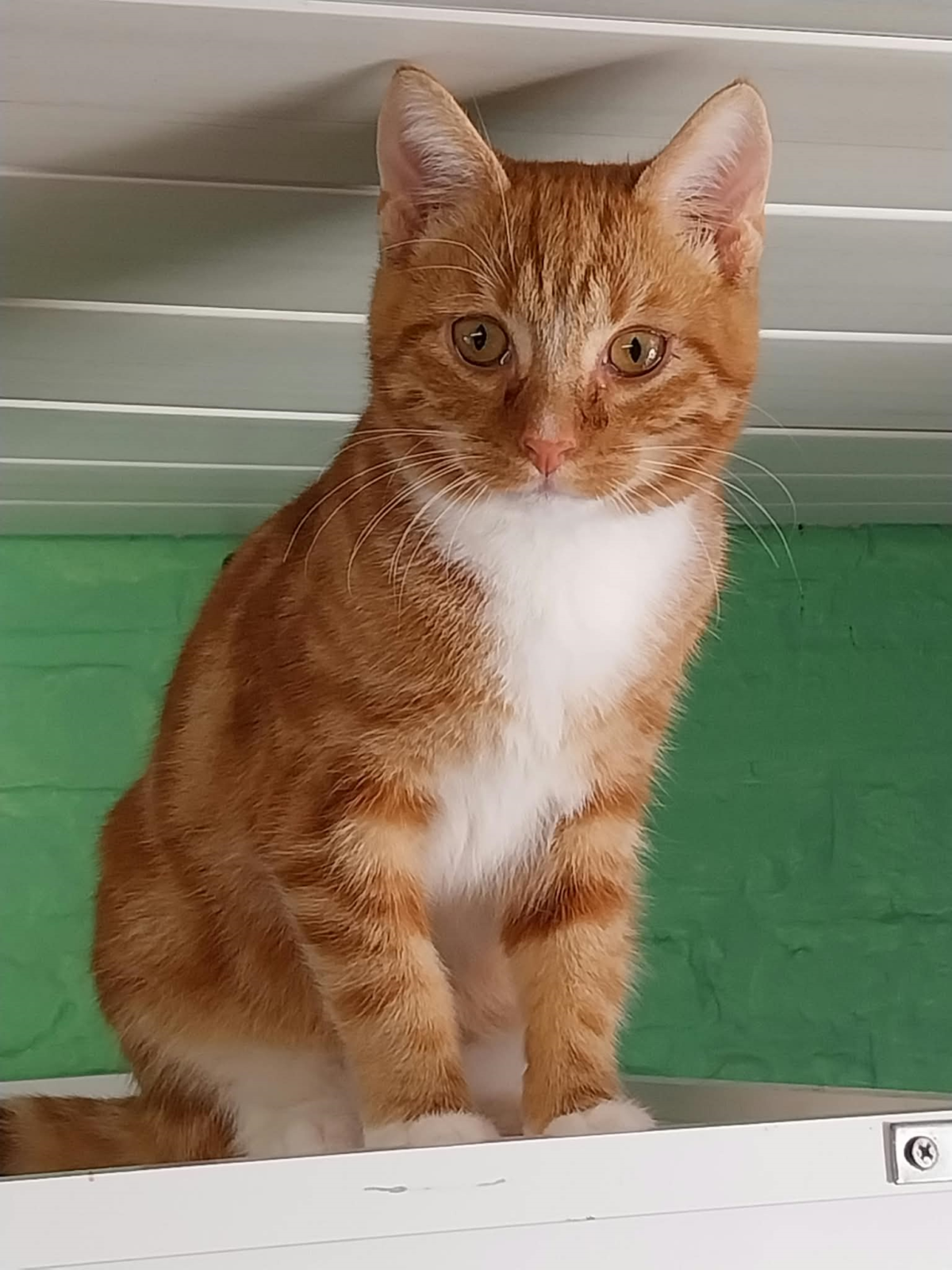 Picture of Quincy